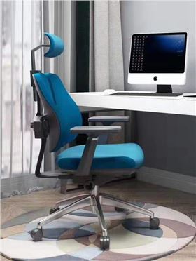 人體工學(xué)電腦椅 人體工學(xué)電腦椅