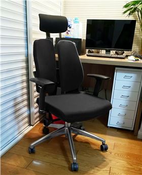 人體工學(xué)電腦椅 人體工學(xué)電腦椅