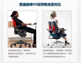 人體工學(xué)電腦椅 人體工學(xué)電腦椅